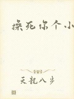 操死你个小浪逼