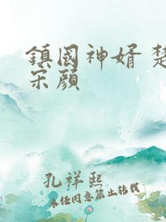 镇国神婿 楚尘宋颜