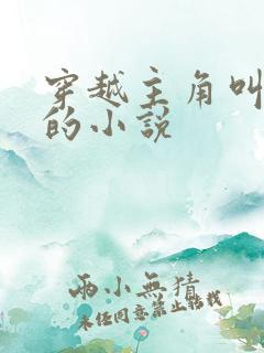 穿越主角叫林枫的小说