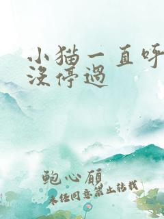 小猫一直呼噜噜没停过