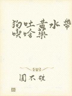 狗吐黄水带泡沫吃啥药