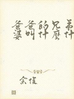 爸爸的兄弟的老婆叫什么什么