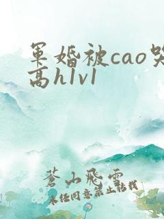 军婚被cao哭高h1v1
