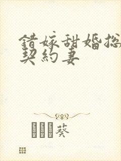 错嫁甜婚总裁的契约妻