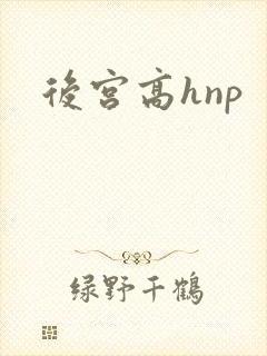 后宫高hnp