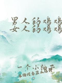 男人的鸡鸡捅进女人的鸡鸡里