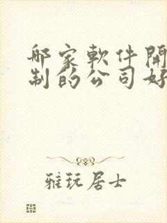 哪家软件开发定制的公司好