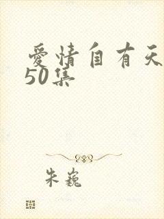 爱情自有天意第50集