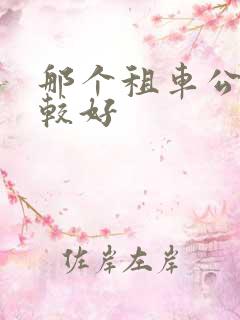 那个租车公司比较好