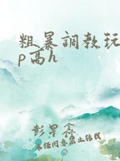 粗暴调教玩弄np高h
