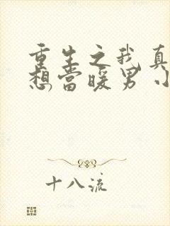 重生之我真的只想当暖男 小说