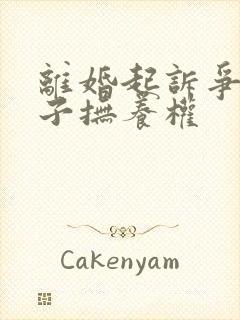 离婚起诉争夺孩子抚养权