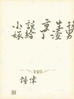 小说 重生后我嫁给了渣男的死对头