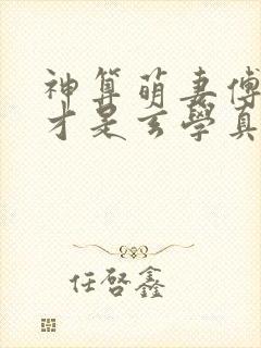 神算萌妻傅太太才是玄学真大佬易小升