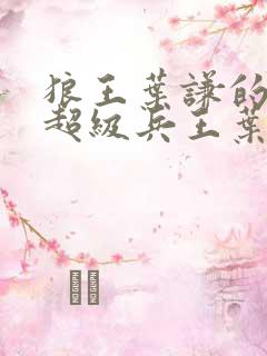 狼王叶谦的小说超级兵王叶谦