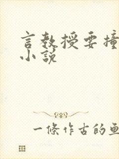 言教授要撞坏了小说