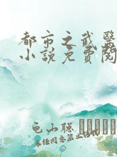 都市之武医风流小说免费阅读
