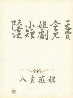 陆小姐今天疯了没短剧免费观看