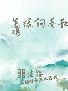怎样饲养散养土鸡