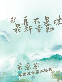 我真不是坏男人 最新章节