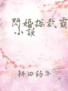 闪婚总裁霸道宠 小说
