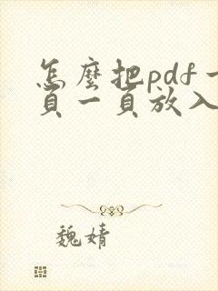 怎么把pdf一页一页放入word