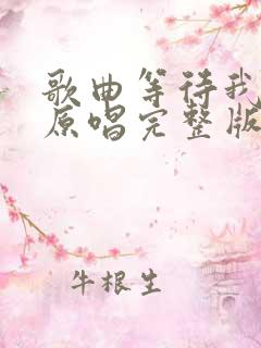 歌曲等待我的人原唱完整版