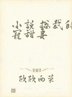 小说 总裁的独宠甜妻