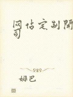 网站定制开发公司
