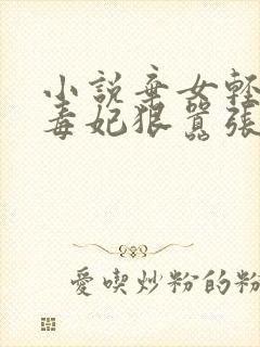小说弃女轻狂:毒妃狠嚣张