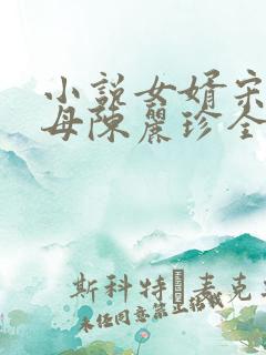小说女婿宋阳岳母陈丽珍全文阅读