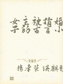 女主被指婚给太子的古言小说