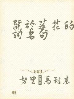 关于莲花的古诗词名句