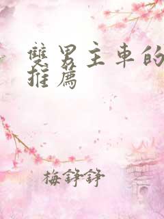 双男主车的动漫推荐