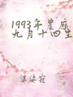 1993年农历九月十四生辰八字
