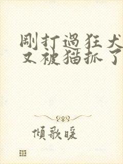 刚打过狂犬疫苗又被猫抓了怎么办