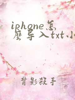 iphone怎么导入txt小说