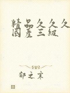 精品久久久久久国产三级