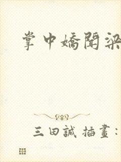 掌中娇闻梁陈碟