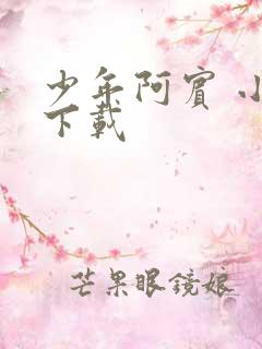 少年阿宾 小说下载