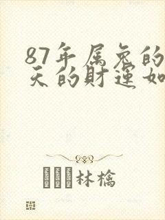 87年属兔的今天的财运如何