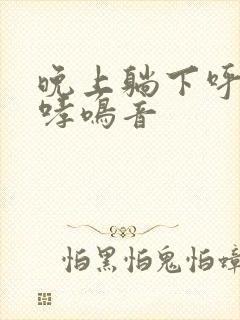 晚上躺下呼吸有哮鸣音