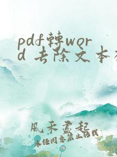 pdf转word 去除文本框