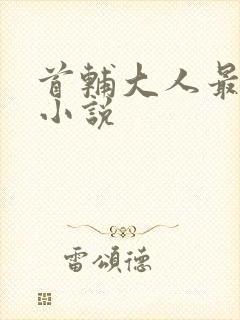 首辅大人最宠妻小说