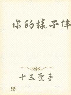 你的样子伴奏