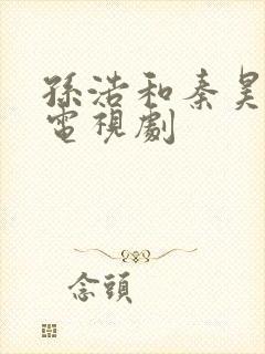 孙浩和秦昊演的电视剧