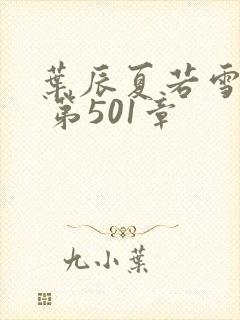 叶辰夏若雪孙怡 第501章