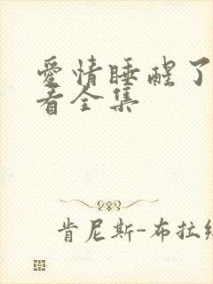爱情睡醒了免费看全集