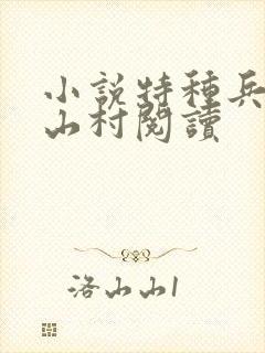 小说特种兵王在山村阅读