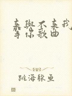 来与不来我都在等你歌曲